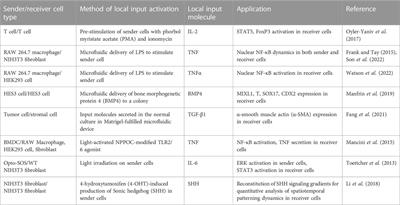 Engineering global and local signal generators for probing temporal and spatial cellular signaling dynamics